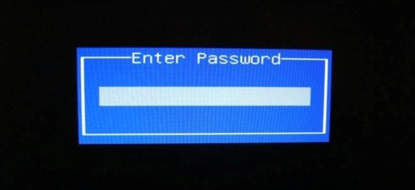 Passwords